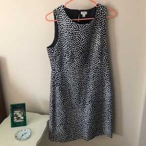 J Crew Polka Dot Dress